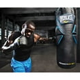 thumbnail image 1 of Everlast® 45 kg (100 lb.) Powershot Heavy Bag, 1 of 4