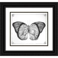 thumbnail image 1 of Shamp, Cindy 29x26 Black Ornate Wood Framed with Double Matting Museum Art Print Titled - Butterfly V, 1 of 4