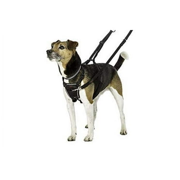 Halti No Pull Harness for Dogs