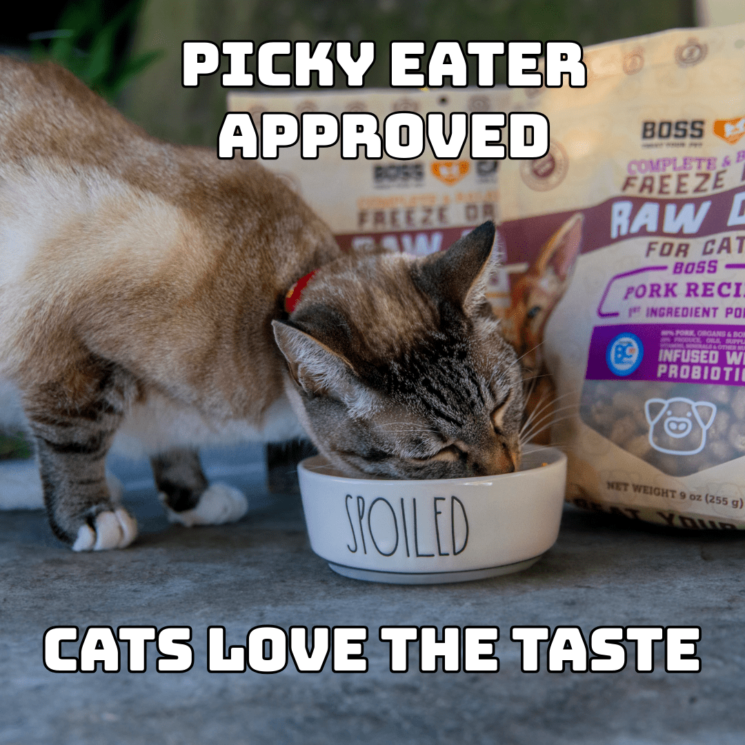 Boss Cat Freeze Dried Cat Food, Probiotic, Pork, 9oz