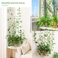 thumbnail image 5 of Deago 50 Pcs Plant Climbing Wall Fixture Clips Self-Adhesive Hook Vines Traction Leaf Shaped Invisible Holder for Home Decoration and Wire Fixing Cable Organizer, 5 of 8