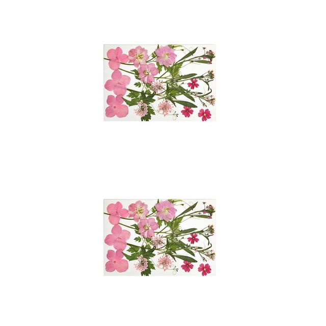 Naiovety Calcomanía de flores secas, calcomanía de maquillaje para niñas hermosas naturales, decoración artesanal, rellenos artesanales, adornos de Tipo 3 2piezas Naiovety CBP288636