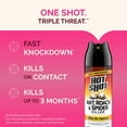 thumbnail image 3 of Hot Shot Ant, Roach & Spider Killer 2-17.5 Ounce, Kills Roaches, Unscented, Twin Pack, 3 of 11