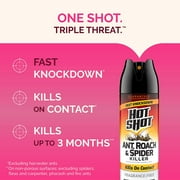 Hot Shot Ant, Roach & Spider Killer 2-17.5 Ounce, Kills Roaches, Unscented, Twin Pack