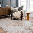 thumbnail image 2 of BoutiqueRugs Ampusungan High Low Area Rug - Charcoal, Cream, Peach - 9'2" x 12', 2 of 18