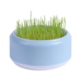 thumbnail image 4 of 1* Cat Snack Cat Mint Planting Hydroponic Box Cat Grass Pot Cat UK Grass B4T8, 4 of 8