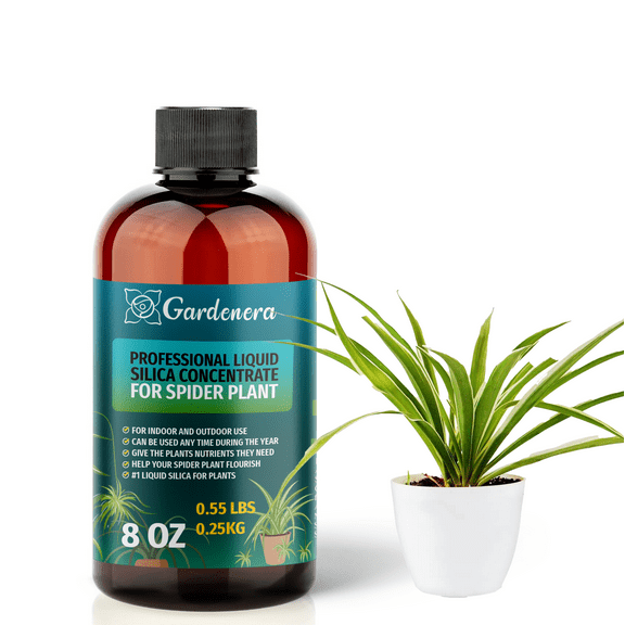 ⭐ PREMIUM Bioavailable Silica Fertilizer for Spider Plant – 8oz – Ideal for Hydroponics & Soil – Healthier Plants with Strong Stalks - CONCENTRATE