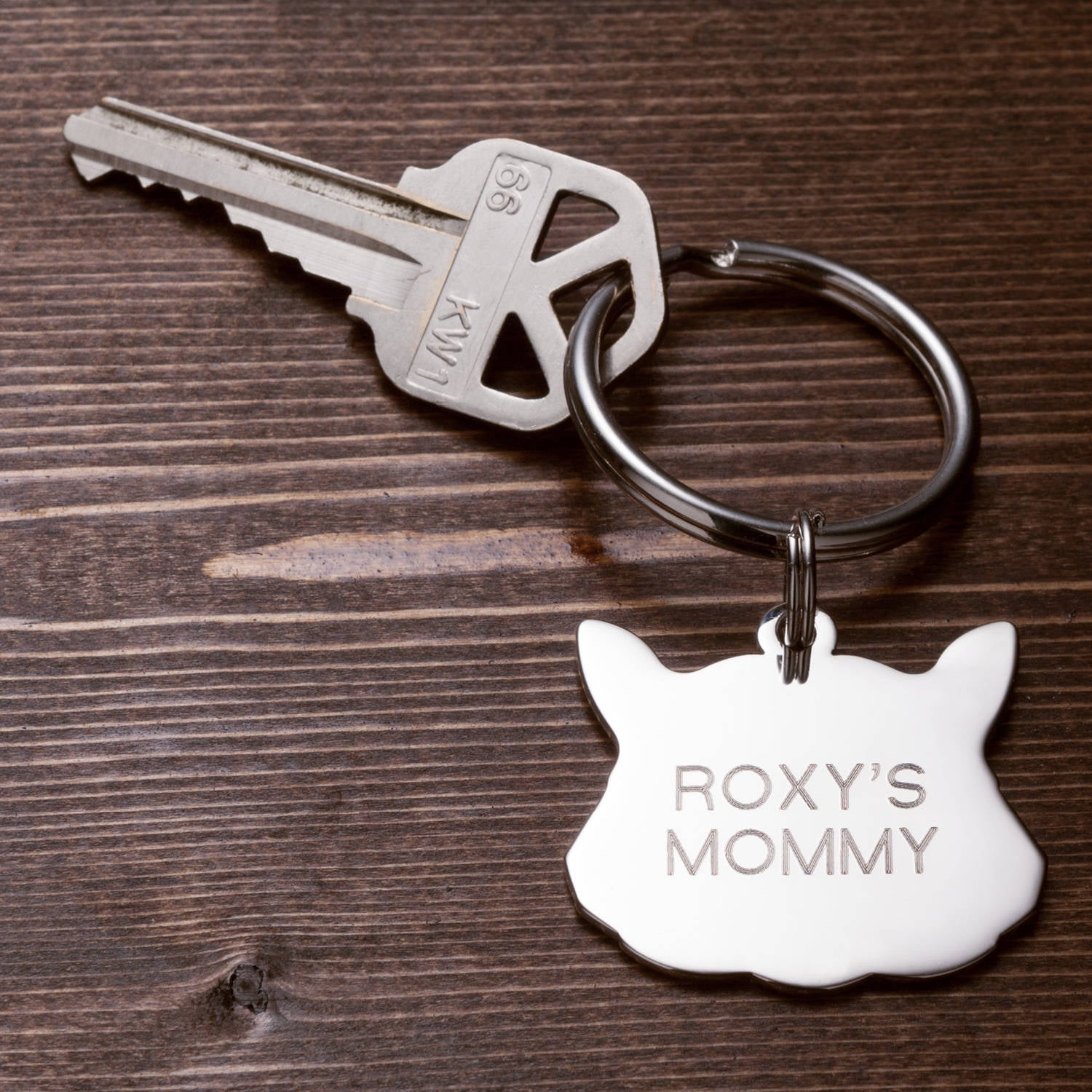 Personalized Cat or Dog Key Chain and Charm Set