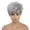 White, variant on Silver Gray Micro Curl Wig, 11in Short Curly Synthetic Hair, Adjustable Lace Cap, Party Cosplay Costume, Women Protective Hair Headgear, Natural Look