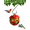 Summer Shades, variant on Gift Essentials Glass Hummingbird Feeder Summer Shades for Hummingbird Nectar, 8 Ounce Capacity