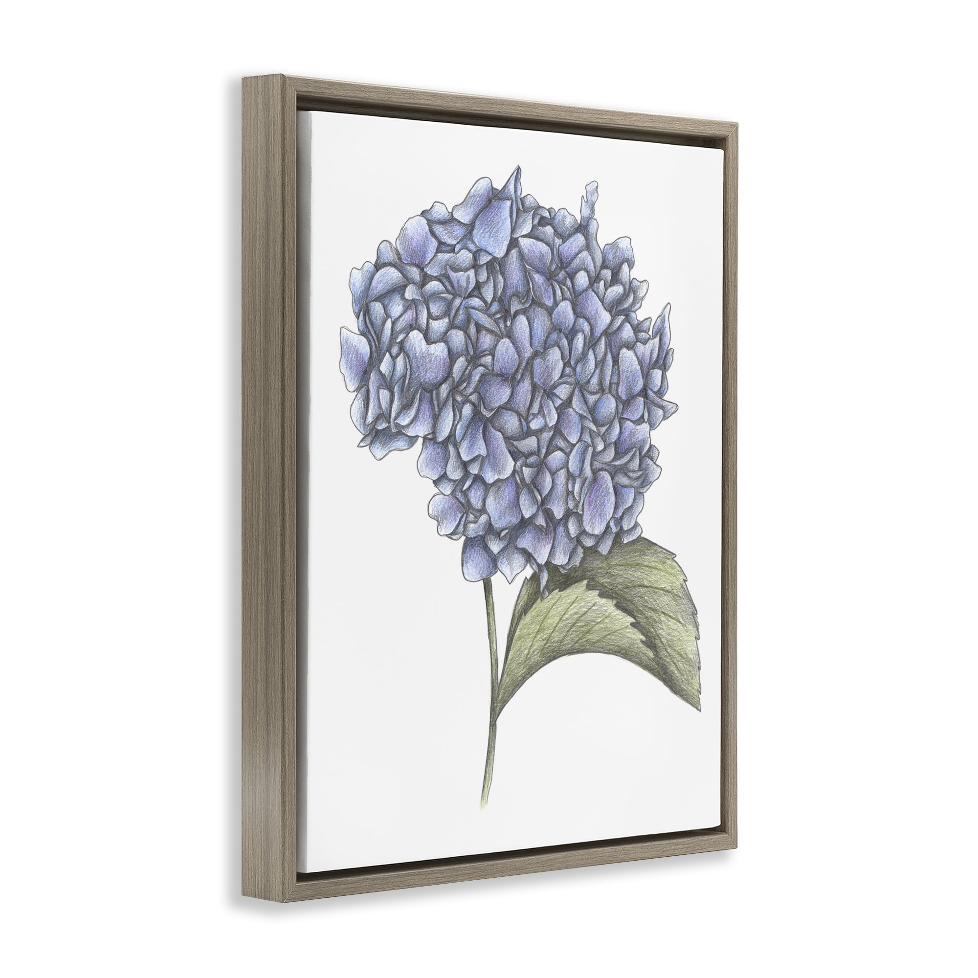 Hydrangea Sketch Blossom Brown Framed Floater Canvas Wall Art, design by Cecilia Battaini