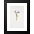 thumbnail image 2 of William Rickatson Dykes 13x18 Black Modern Framed Museum Art Print Titled - Iris Ruthenica (1913), 2 of 5