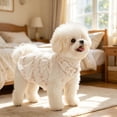 thumbnail image 2 of huayou Cute Breathable Pet Harness Dress, Soft Cozy Striped Lace Trim with D Ring for Dogs Cats Daily Use, 2 of 8