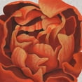 thumbnail image 2 of Popp, Grace 12x12 Black Ornate Wood Framed with Double Matting Museum Art Print Titled - Fiery Floral I, 2 of 4