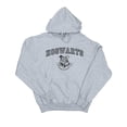 thumbnail image 1 of Harry Potter Mens Hogwarts Crest Hoodie, 1 of 3