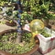 thumbnail image 3 of Riego Por Goteo en Forma Transparente para Plantas PVC para Interiores (amarillo), 3 of 6