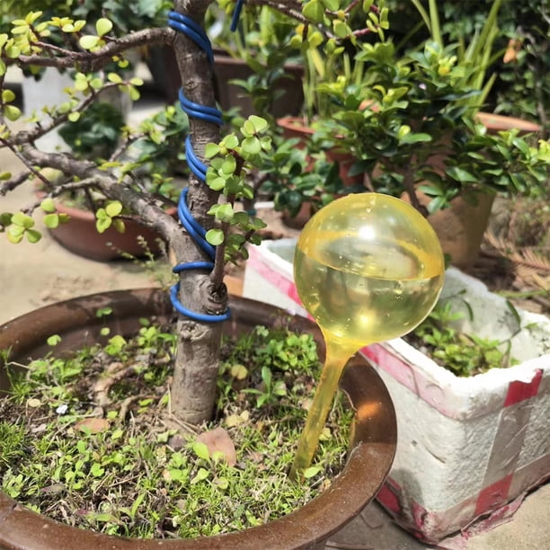 Bebedero De Plantas Riego por goteo con forma de bola ligera para plantas de PVC para plantas en macetas de interior Likrtyny Para estrenar