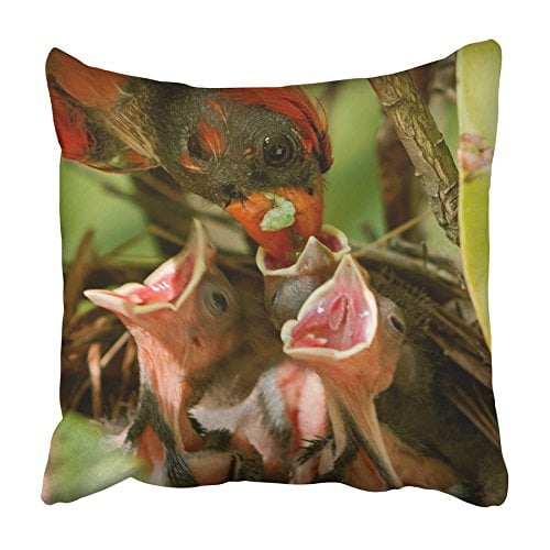 EREHome Male Cardinal Brings Green Worm Caterpillar to the Nest Feed His Three Babies Pillowcase Cushion Cover 16x16 inch