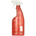 thumbnail image 2 of Sea Foam BUGS-B-GONE BBG1 Bug Remover, 16 oz Bottle, 2 of 3