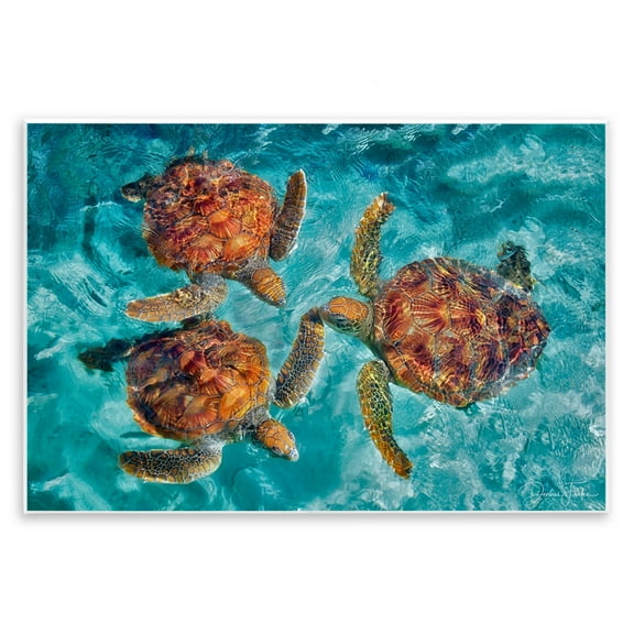 Stupell Industries Swimming Tortoise Trio Animals & Insects Painting Unframed Art Print Wall Art, 15 x 10