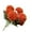 Orange, variant on Flowers Mexican Day of the Dead Bouquet for Halloween and All Souls' Day Ornamental Arrangement for Home and Events,30X7 cm,Gold