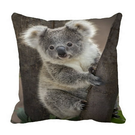 koala plush pillow