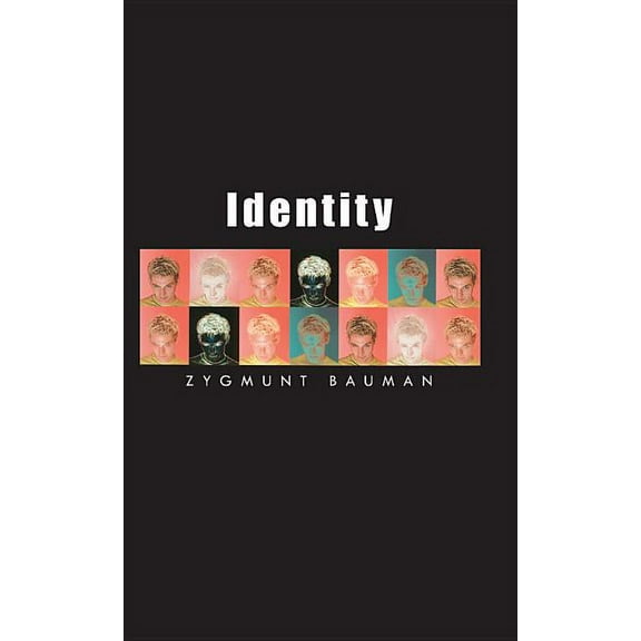 Themes for the 21st Century Identity: Coversations with Benedetto Vecchi, Book 5, (Hardcover)