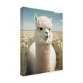 thumbnail image 4 of Canvas Wall Art - Treechild 'Cute Llama' Wall Art for Living Room, Bedroom, or Office D?cor by Trademark Fine Art - 18 x 24 Inches, 4 of 4