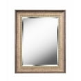 thumbnail image 1 of Kenroy Home 60325GB Miroir Mural de 24 Pouces, 1 of 1