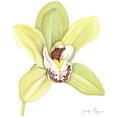 thumbnail image 2 of Goldberger, Jennifer 26x32 Black Ornate Wood Framed with Double Matting Museum Art Print Titled - Small Orchid Beauty II, 2 of 4
