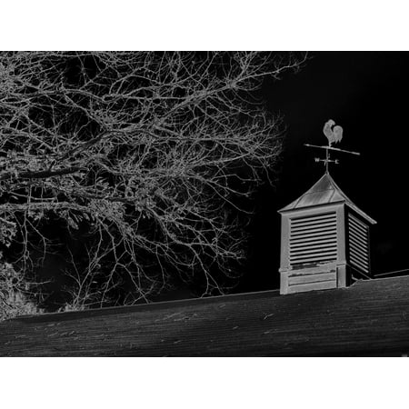 Rooster Framed Art - Framed Art for Your Wall Rooster Copula Weathervane Wind Weather Vane Barn 10x13 Frame