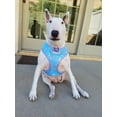 thumbnail image 5 of Frenchiestore Reversible Dog Health Harness | Mermazing, 5 of 8