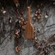 thumbnail image 5 of 4 Piece Kitchenware Shovel Wooden Spoon Rice Shovel Wooden Spatula, 5 of 5