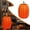 ZF-Orange, variant on Garoy 1Pcs 6.7 Inch Orange Resin Pumpkins for Decorating - Small Artificial Resin Pumpkins for Fall Decor,Thanksgiving,Paintable For Diy Crafts & Centerpieces,Outdoor Pumpkins for Porch,Fake Pumpkins