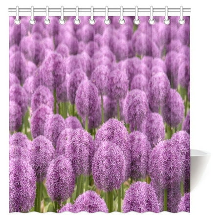 Mypop Purple Allium Field Shower Curtain Beautiful Flowers Mypop Purple Allium Field Shower Curtain Beautiful Flowers Polyester Fabric Decorative Bathroom