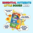 thumbnail image 6 of Kids Multivitamin Gummies - Sugar Free - Tasty Orange Flavor Gummy - Daily Immune Support with 100% Vitamin B12 - Essential Vitamins A, C, D3, E, B6, & Zinc Kid's Multivitamin - Non-GMO - 60 Gummies, 6 of 10