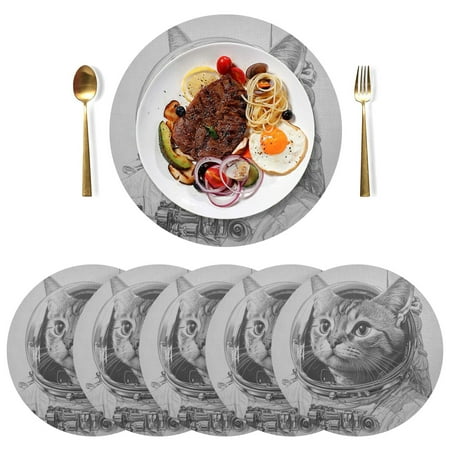 

Round Placemats Plate Mats 15 Inch Non-Slip Heat Resistant Washable PVC Set Table Decoration for Kitchen Dining An Astronaut Cat
