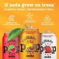 thumbnail image 5 of (Pack Of 24) Culture Pop Soda Probiotic Pink Grapefruit 12 Fl Oz, 5 of 9