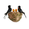 thumbnail image 1 of Nido de golondrina simulado shamjiam Decoración de Pared de Pájaros de Espuma Artificial, 1 of 8
