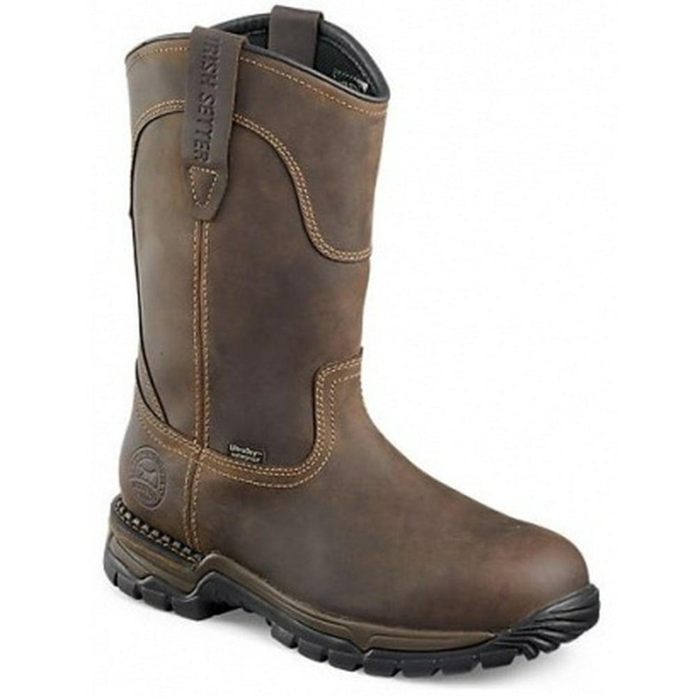 irish setter 2830