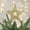 F/C, variant on Kbndieu Christmas Tree Toppers Metal Xmas Tree Topper Star Christmas Decorations Glittered Tree-top Star for Festive Christmas Decor Holiday Ornament Christmas Gifts