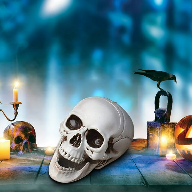 Yhmxh Halloween Decorations,Party Favors,Halloween Squelettes en Plastique Réalistes Faux Simulation Crâne Humain Modèle d'Os de Tête Accessoire d'Halloween Réaliste Mini Squelette Décoration d'Halloween Effrayante