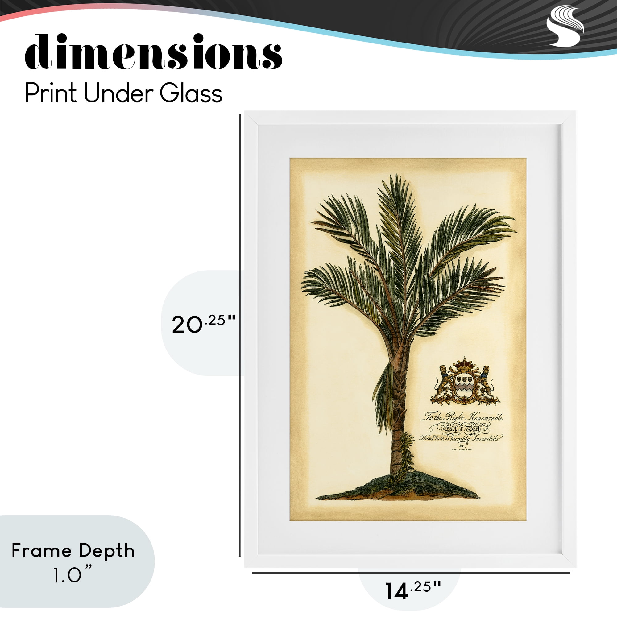 Stupell Industries Vintage Colonial Palm White Framed Print Under Glass, design by Vision Studio