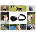 thumbnail image 3 of 2 Paquets de Clickers pour Chiens, Clickers pour Chiens, Sifflet Clickers pour Chiens, pour Animaux Professionnels, 3 of 4