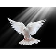 thumbnail image 2 of Art.com A Free Flying White Dove Isolated On A Black Background Stretched Canvas Print Wall Art by Irochka, 32" x 24", 2 of 4