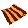 thumbnail image 3 of TrendsBlue Premium Soft Knit Striped Scarf, 3 of 3