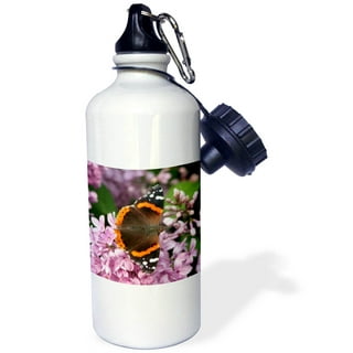 Butterfly Sunset Aesthetic Water Bottle by trajeado14