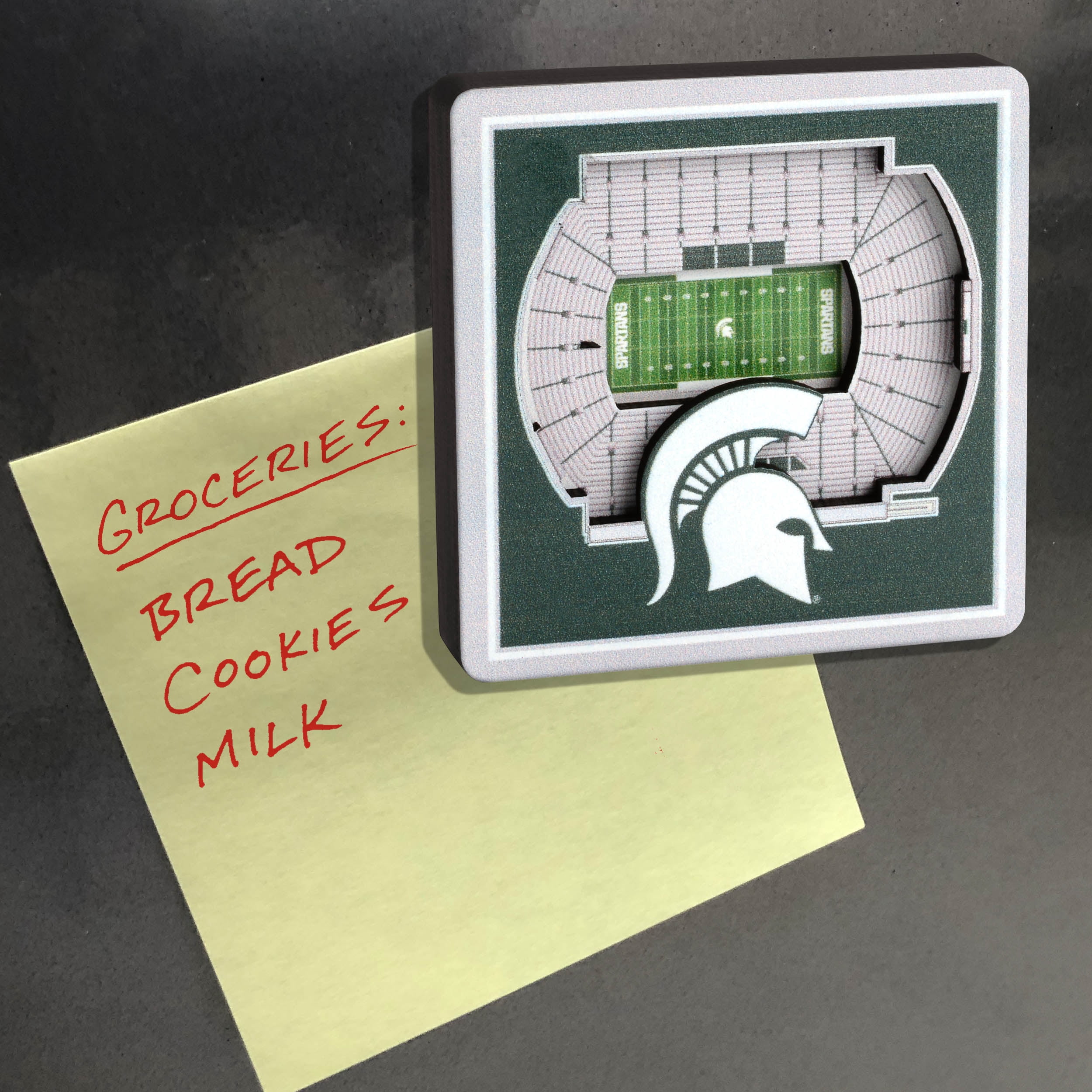 YouTheFan NCAA Michigan State Spartans 3D StadiumView Magnet