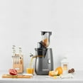 thumbnail image 3 of Cuisinart Slow Juicer, Gray, 3 of 7