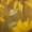 Sunflower Horse, variant on Pzuqiu Highland Cow Hoodies for Teen Boys 14-16 Warm Full Zip Hooded Kids Sweatshirt Lightness Stretchy Long Sleeve Jacket Outfits with Pockets for Boys Teens Youth